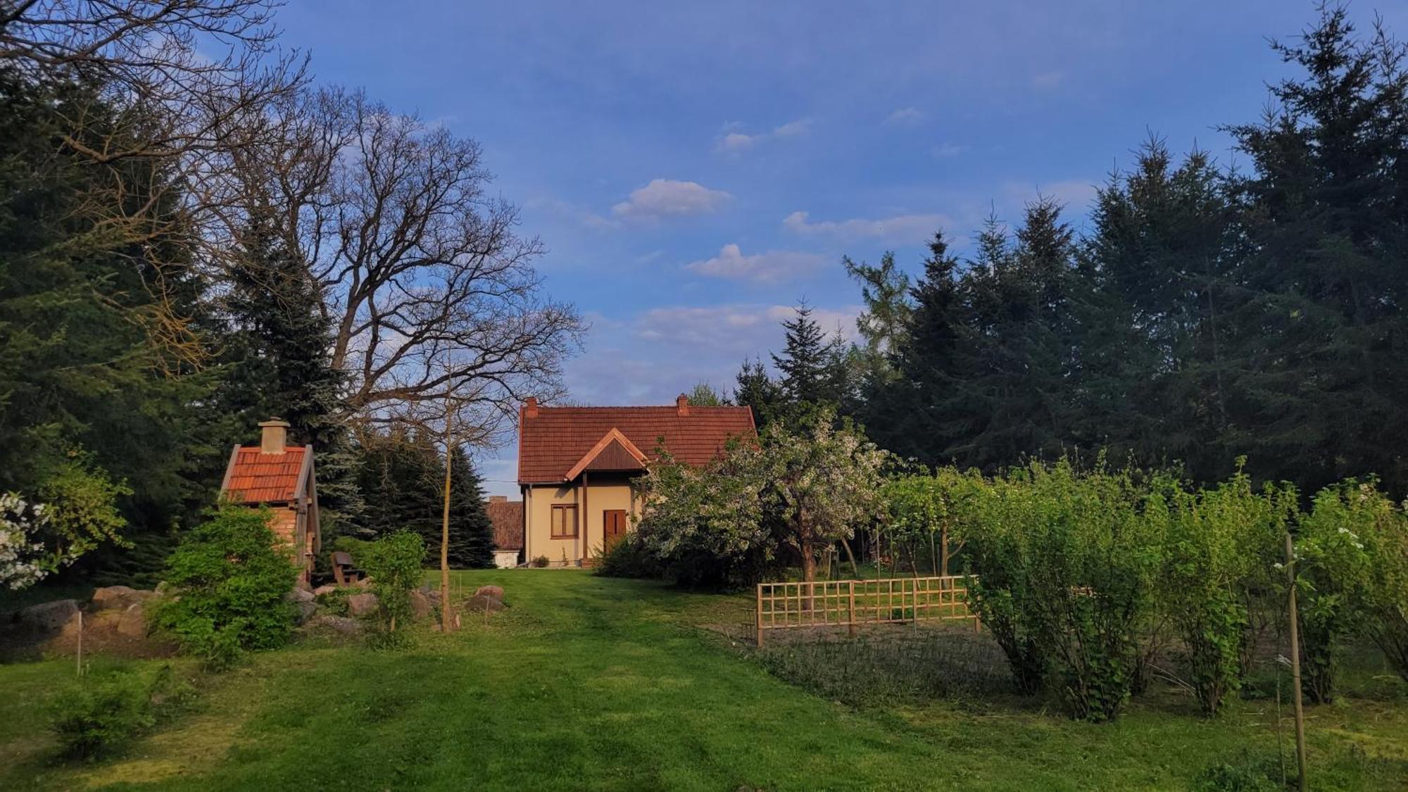 Villa Dzikie Wino Budry Exterior foto
